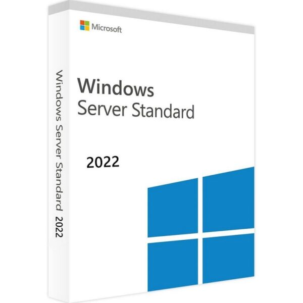 Windows Server 2022 Standard Lifetime Key